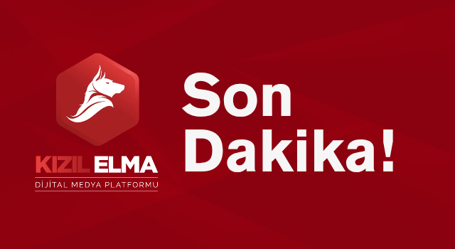 Aleksandar Stanojevic hayal kırıklığı yaşadı