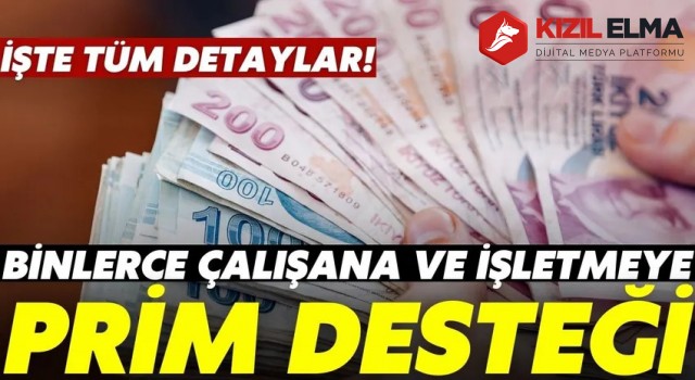 Binlerce işletmeye prim desteği sürüyor