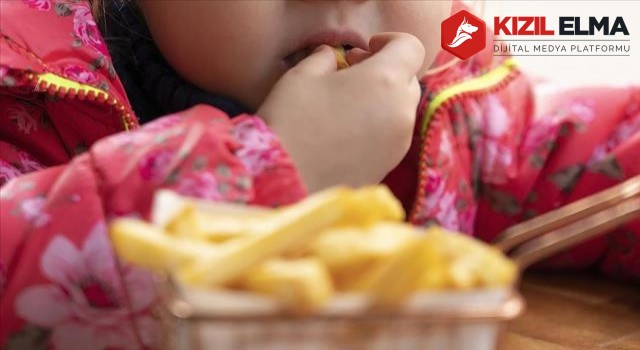 Dünya Sağlık Örgütü: Obezite Avrupa'da yeni bir salgına dönüştü, ilk sırada Türkiye var