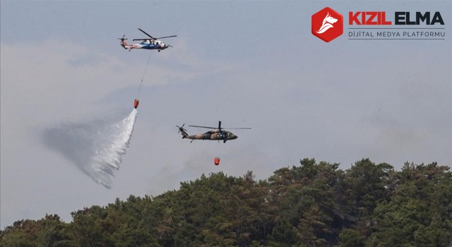 Bakan Kirişci: Yangın kontrol altına alındı