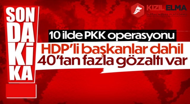 HDP il ve ilçe başkanları hakkında gözaltı kararı