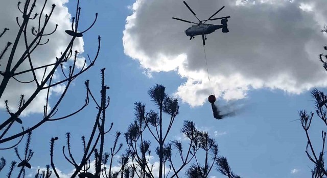 Kırklareli’deki orman yangını söndürüldü: 35 dekar alan zarar gördü