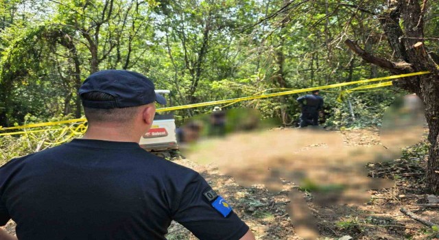 Kosova’da savaş suçları soruşturması: 23 kişiye ait kemik kalıntıları bulundu