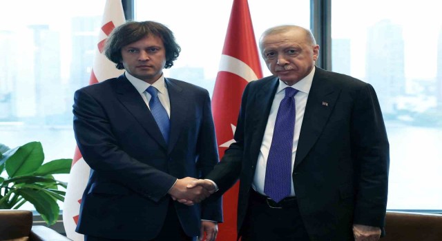 Cumhurbaşkanı Erdoğan, Gürcistan Başbakanı Kobakhidze ile görüştü