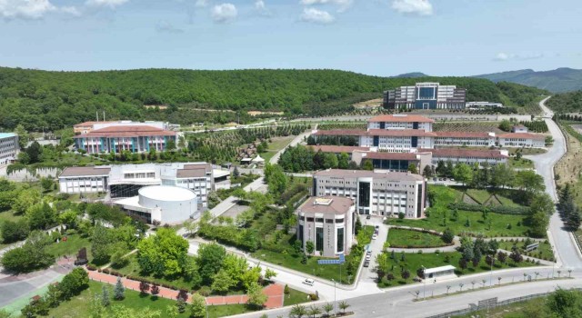 Düzce Üniversitesi matematik alanında Türkiye’nin zirvesinde