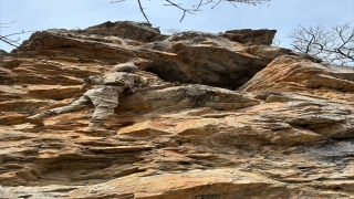 Tunceli’de Teröristlere Büyük Darbe