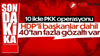 HDP il ve ilçe başkanları hakkında gözaltı kararı