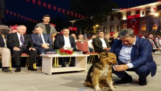 Malatya’nın maskotu protokol köpeği Milletvekili Fendoğlu'nun elinden su içti