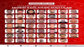 27’si kırmızı bültenle aranan 48 suçlu Türkiye’ye getirildi