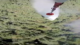 Manisa’daki orman yangını kontrol altına alındı