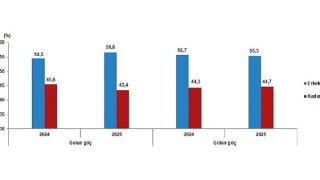 Uluslararası Göç İstatistikleri, 2025
