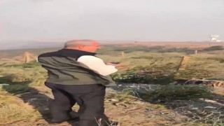 Çanakkale Valisi Toraman yangın bölgesinde