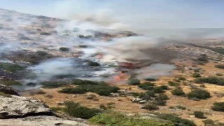 Diyarbakır’da çıkan örtü ve orman yangınları söndürüldü