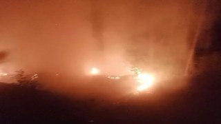 Alanya’da ormanlık alan yangınında 2 dönüm alan zarar gördü