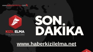 ’Alihan Kuriş Suç Örgütü’ne yönelik ikinci dalga operasyonda ele geçirilen mal varlığı ortaya çıktı