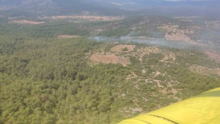 Muğla’da orman yangını kontrol altına alındı