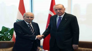 Cumhurbaşkanı Erdoğan, Lübnan Başbakanı Selam ile görüştü