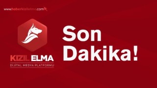 Doğu Perinçek, Kaşif Kozinoğlu soruşturmasında ’bilgi sahibi’ sıfatıyla ifade verdi