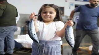 Karadeniz’de çifte bereket: Hem palamut hem hamsi bolluğu