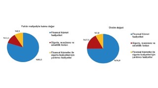 Mali Aracı Kuruluş İstatistikleri, 2025